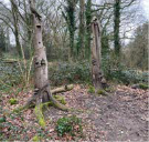 Grant Funding Countryside Photo